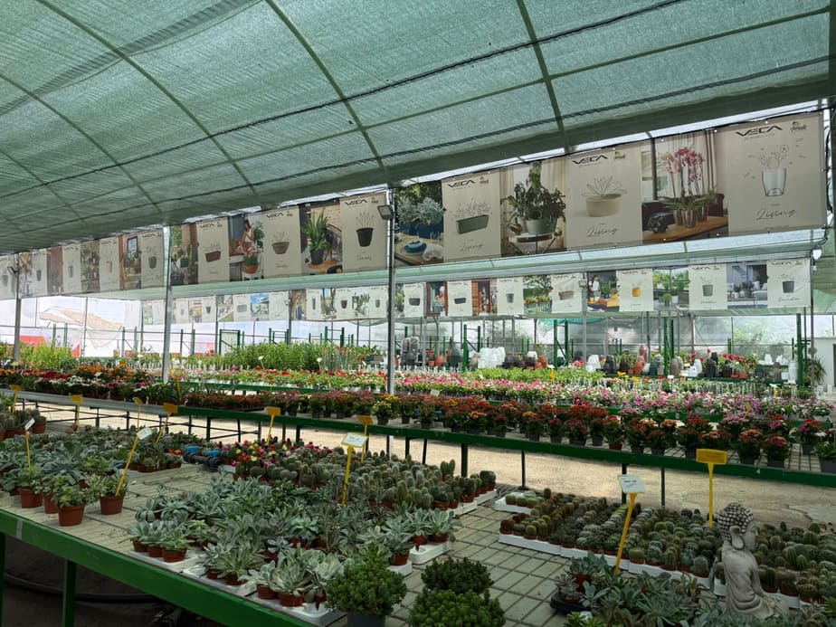 Vivero de Flores y Plantas Jurado en Cabra