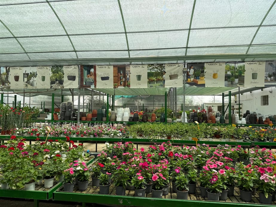 Interior del vivero Jurado en Cabra